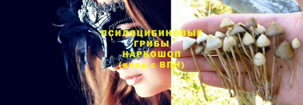 стафф Орехово-Зуево
