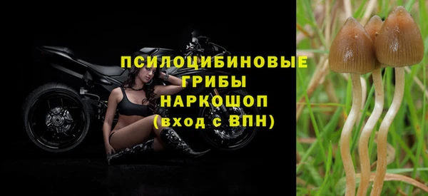 apvp Абдулино